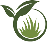 Yard Erosion Remediation Pros