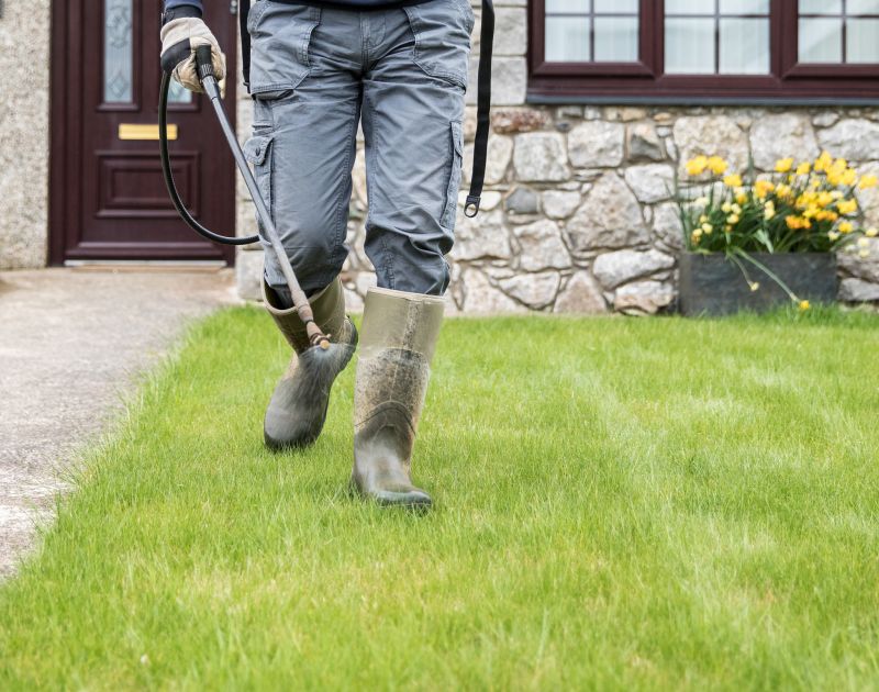 Yard Erosion Remediation