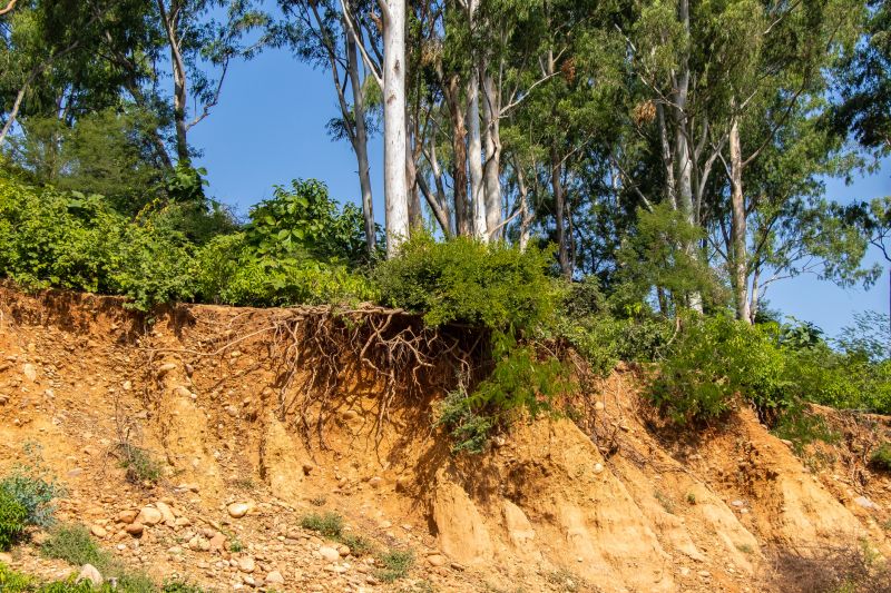 Erosion Control Specialists